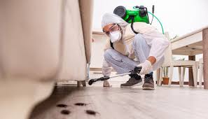 Best Residential Pest Control  in Cimarron, KS